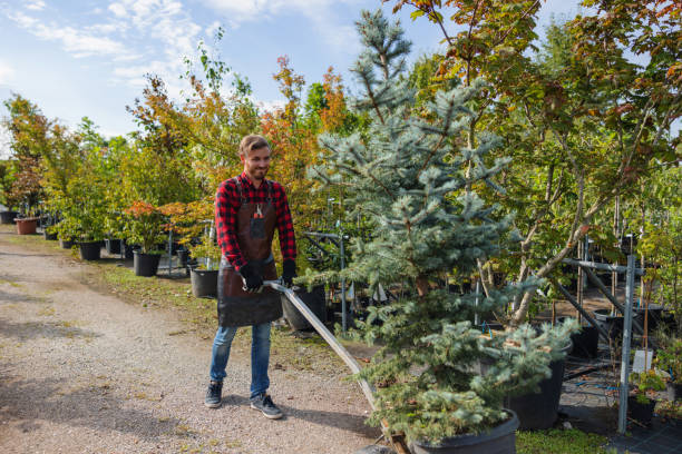 Mulching Services in Hiram, OH